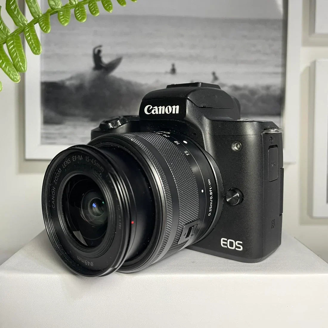 Canon M50 mirrorless flip screen | 24.1 megapixel digital camera